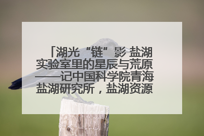 湖光“链”影 盐湖实验室里的星辰与荒原——记中国科学院青海盐湖研究所，盐湖资源化学实验室党总支书记、副主任刘忠