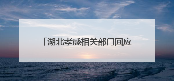 湖北孝感相关部门回应“一男子称被交警打断9根肋骨未立案”：已成立联合专班开展工作