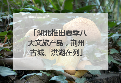 湖北推出夏季八大文旅产品，荆州古城、洪湖在列