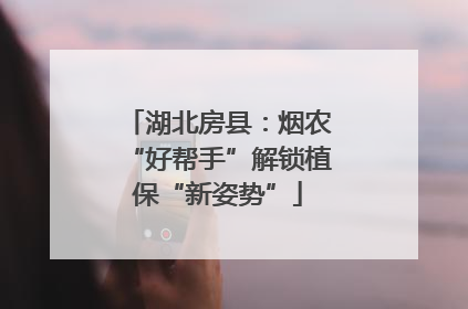 湖北房县：烟农“好帮手”解锁植保“新姿势”