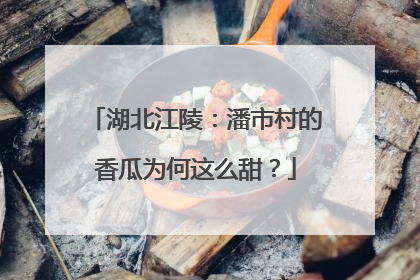 湖北江陵：潘市村的香瓜为何这么甜？