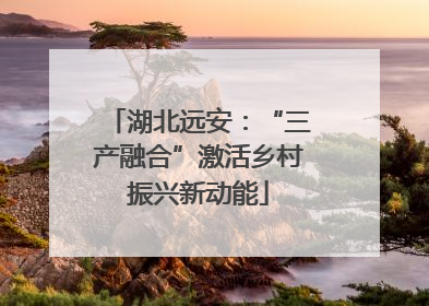 湖北远安：“三产融合”激活乡村振兴新动能