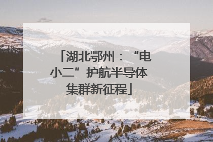 湖北鄂州：“电小二”护航半导体集群新征程