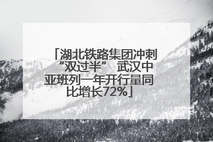 湖北铁路集团冲刺“双过半” 武汉中亚班列一年开行量同比增长72%
