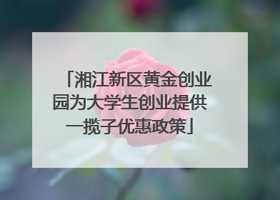 湘江新区黄金创业园为大学生创业提供一揽子优惠政策