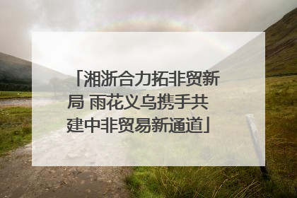 湘浙合力拓非贸新局 雨花义乌携手共建中非贸易新通道
