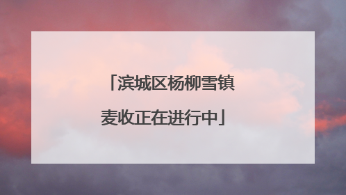 滨城区杨柳雪镇麦收正在进行中