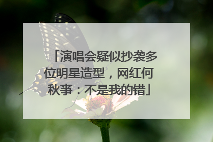 演唱会疑似抄袭多位明星造型，网红何秋亊：不是我的错