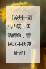 漳州一酒店内现一条活鳄鱼，警民联手快速处置
