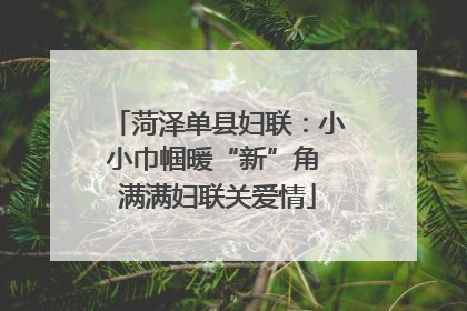 菏泽单县妇联：小小巾帼暖“新”角 满满妇联关爱情