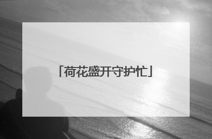 荷花盛开守护忙