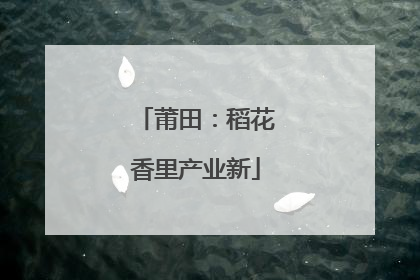 莆田：稻花香里产业新