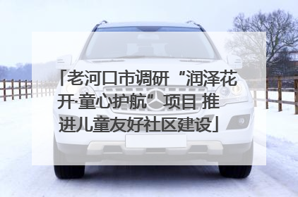 老河口市调研“润泽花开·童心护航”项目 推进儿童友好社区建设