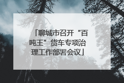 聊城市召开“百吨王”货车专项治理工作部署会议