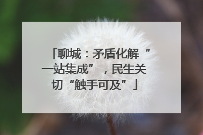 聊城：矛盾化解“一站集成”，民生关切“触手可及”