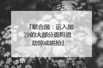 联合国：运入加沙的大部分面粉遭劫掠或哄抢