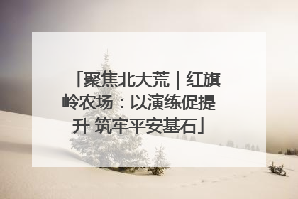 聚焦北大荒｜红旗岭农场：以演练促提升 筑牢平安基石