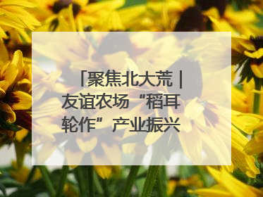 聚焦北大荒｜友谊农场“稻耳轮作”产业振兴“花开两朵”