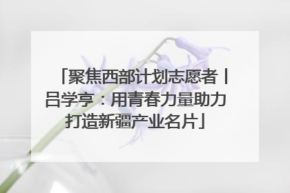 聚焦西部计划志愿者丨吕学亨：用青春力量助力打造新疆产业名片