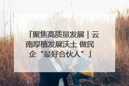 聚焦高质量发展｜云南厚植发展沃土 做民企“最好合伙人”