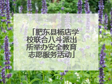 肥东县杨店学校联合八斗派出所举办安全教育志愿服务活动