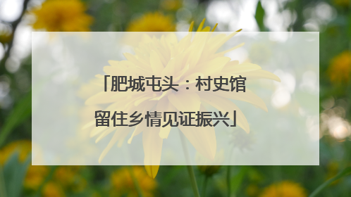 肥城屯头：村史馆留住乡情见证振兴