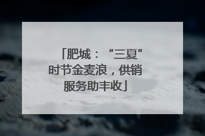 肥城：“三夏”时节金麦浪，供销服务助丰收