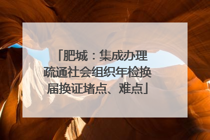 肥城：集成办理 疏通社会组织年检换届换证堵点、难点