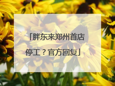 胖东来郑州首店停工？官方回复
