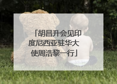 胡昌升会见印度尼西亚驻华大使周浩黎一行