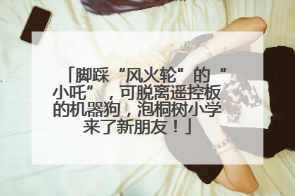 脚踩“风火轮”的“小吒”，可脱离遥控板的机器狗，泡桐树小学来了新朋友！