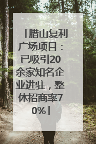 腊山复利广场项目：已吸引20余家知名企业进驻，整体招商率70%