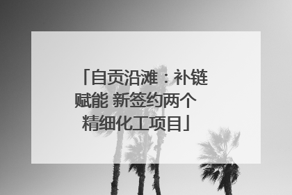 自贡沿滩：补链赋能 新签约两个精细化工项目