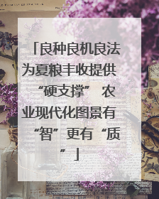 良种良机良法为夏粮丰收提供“硬支撑” 农业现代化图景有“智”更有“质”