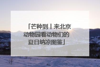 芒种到丨来北京动物园看动物们的夏日纳凉图鉴