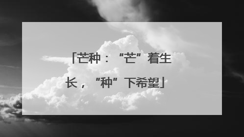 芒种：“芒”着生长，“种”下希望