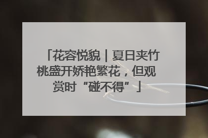 花容悦貌｜夏日夹竹桃盛开娇艳繁花，但观赏时“碰不得”