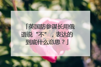 英国防参谋长用俄语说“不”，表达的到底什么意思？