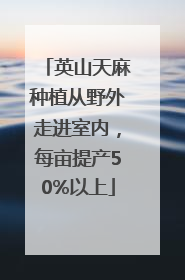 英山天麻种植从野外走进室内，每亩提产50%以上