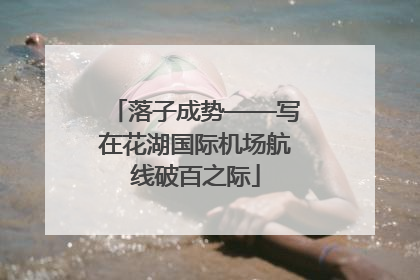 落子成势——写在花湖国际机场航线破百之际
