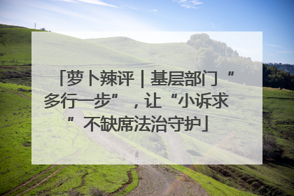 萝卜辣评｜基层部门“多行一步”，让“小诉求”不缺席法治守护