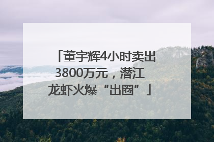 董宇辉4小时卖出3800万元，潜江龙虾火爆“出圈”
