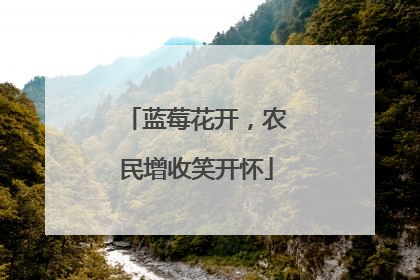 蓝莓花开，农民增收笑开怀
