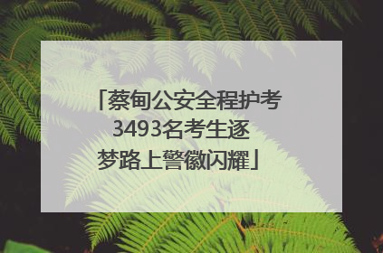 蔡甸公安全程护考 3493名考生逐梦路上警徽闪耀