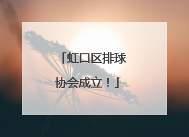 虹口区排球协会成立！