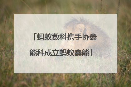 蚂蚁数科携手协鑫能科成立蚂蚁鑫能
