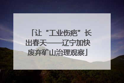 让“工业伤疤”长出春天——辽宁加快废弃矿山治理观察