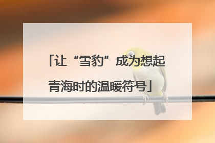 让“雪豹”成为想起青海时的温暖符号