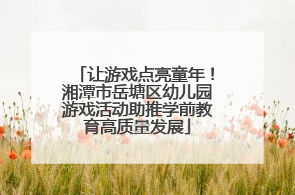 让游戏点亮童年！湘潭市岳塘区幼儿园游戏活动助推学前教育高质量发展