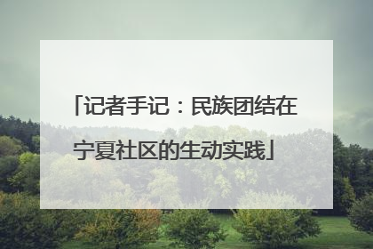 记者手记：民族团结在宁夏社区的生动实践